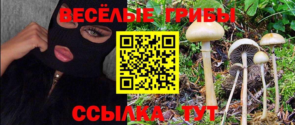 Канаш  Галлюциногенные грибы Psilocybe  Вход с VPN  Псилоцибиновые грибы MAGIC MUSHROOMS 
